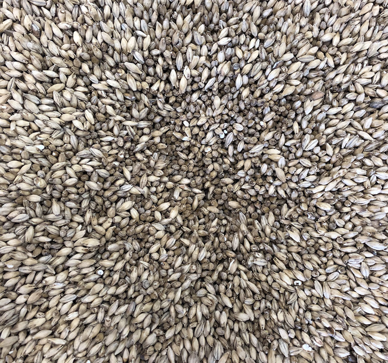 Grain in the Mill